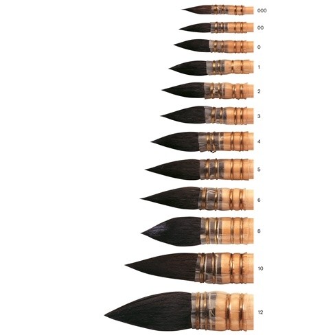 

Sisaus CUCI BERUJUNG TUPAI PURE SQUIRREL (000-3) |pj9AEpqm|