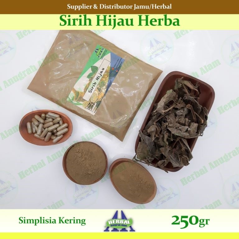 

Herba Sirih Hijau (Kering) 250Gr - 100% Murni #Herbal