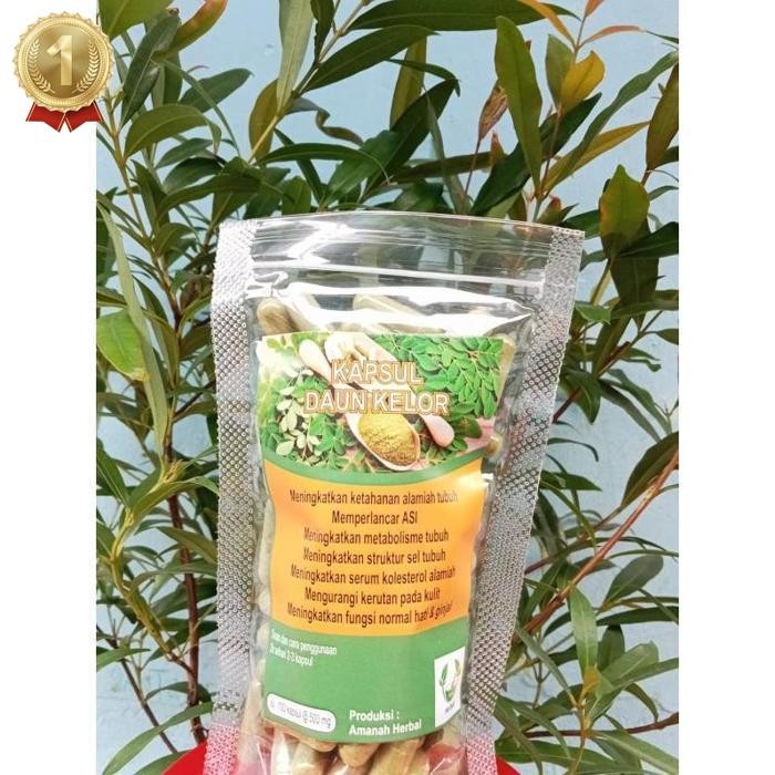 

Paket Daun Kelor Isi 100 Daun Herbal Kalimantan