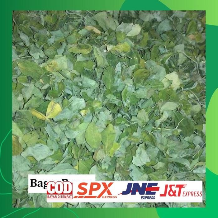 

Aman Terbaik 100Gr Daun Kelor Kering Teh Daun Kelor Moringa Oleifera Atasi Diabetes Kontrol Gula Darah Detox Detoks Daun Herbal Segar
