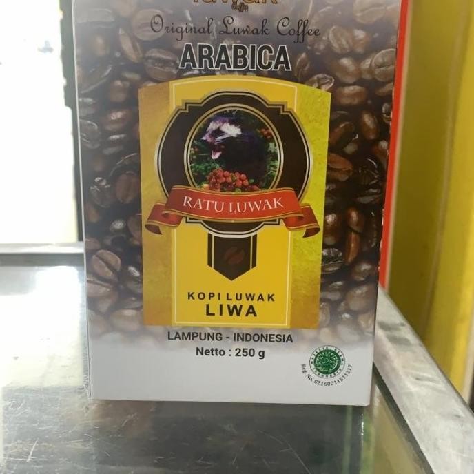 

Terlaris Kopi Ratu Luwak Arabica Lampung Ready Stok