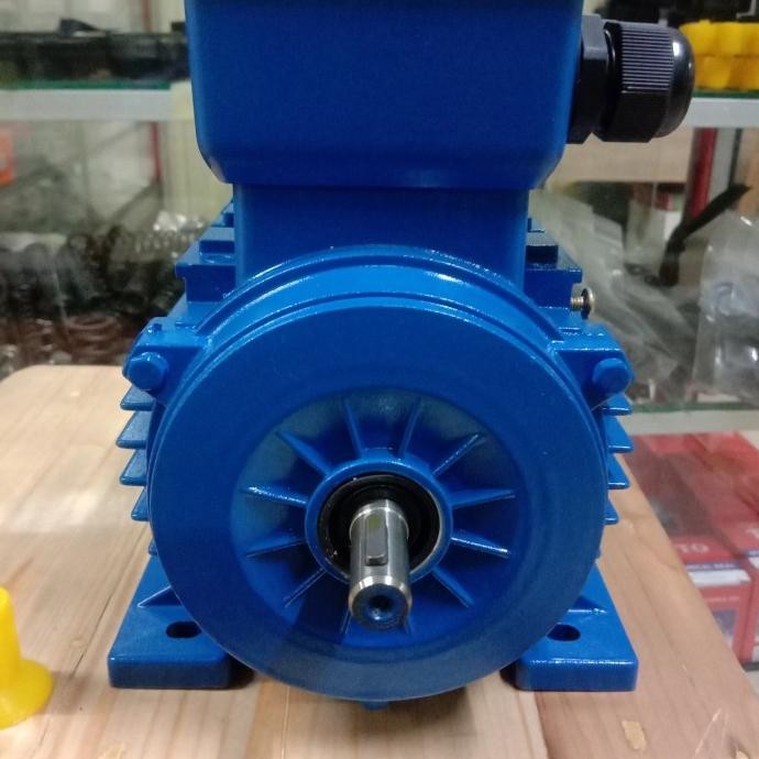 [ Bv ] 1/2Hp 1 Phase 2800Rpm Electro Motor Dinamo Penggerak