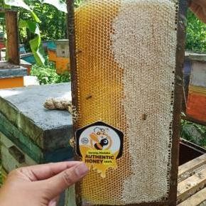 

Discount Sarang Madu Asli Murni Mellifera Raw Honey [250Gr] Murah