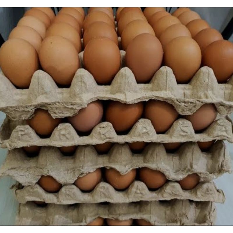 

telor ayam ras per kilo/curah bisa pengiriman instant