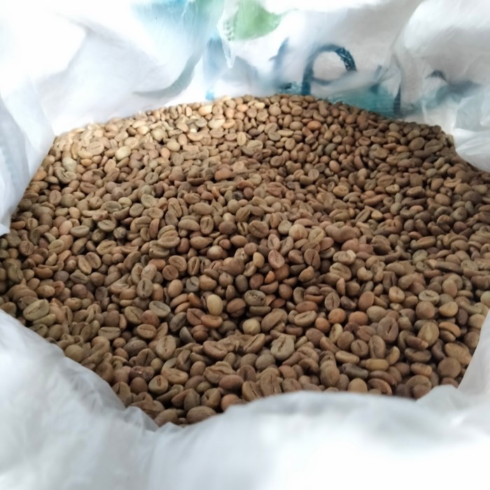 

Kopi Robusta Pagar Alam 1 Kg (Green Bean)