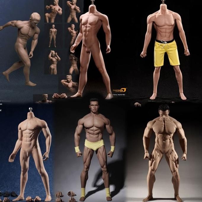 PHICEN TBLEAGUE MALE BODY M30 M31 M32 M33 M34 M35 1/6 BEST SELLER