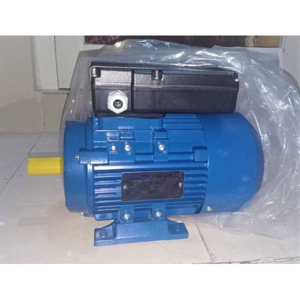 Dinamo Famoze Pro GMYL 1 Phase 2 HP rpm2800