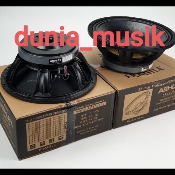 Speaker Ashley Lf12V300 12Inch