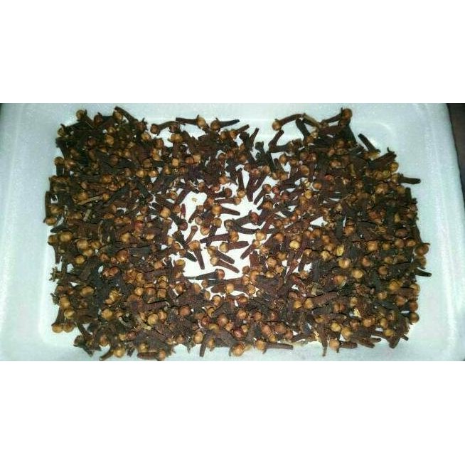 

Cengkeh Patah Jarum Aroma Wangi dan Nikmat Kualitas Terbaik 1kg