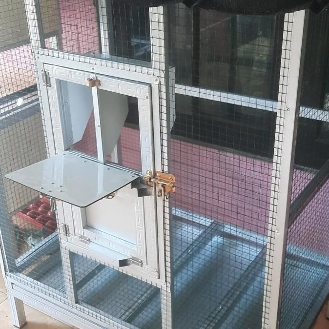 Kandang Merpati Pos Pintu Trap Minimalis 6-10Ekor [ Po ]