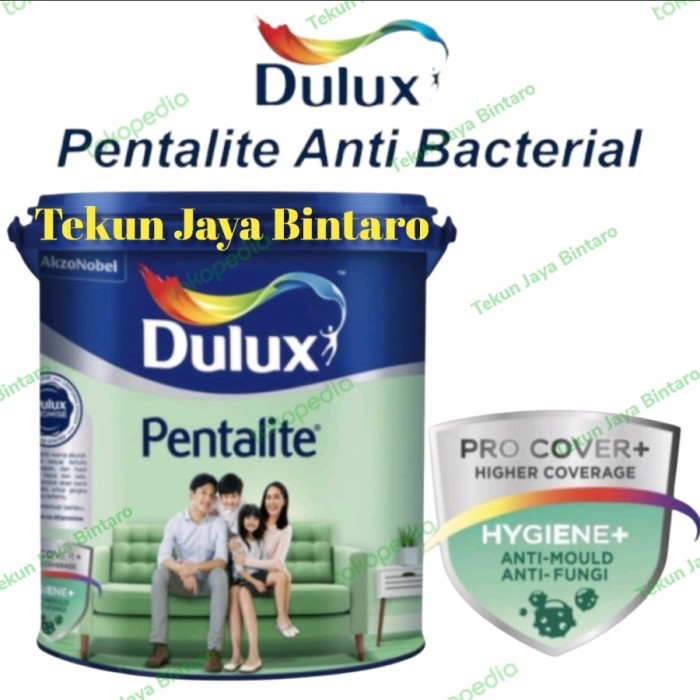 Dulux Pentalite Frost Grey 20L Pail Tinting CSS