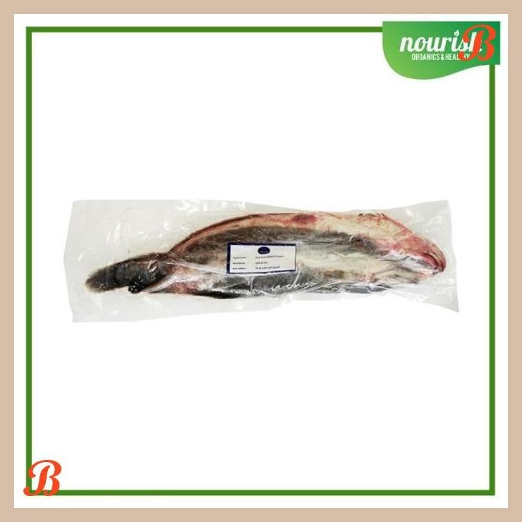 

| NN | IKAN LELE FROZEN 500GR