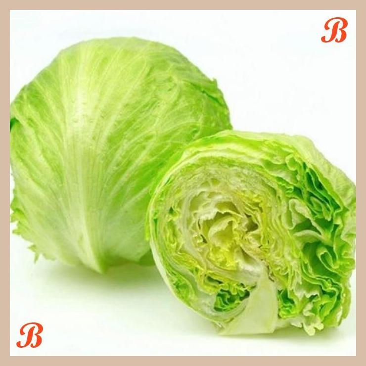 

| NN | LETTUCE HEAD / ICEBERG LETTUCE ORGANIK 500GR