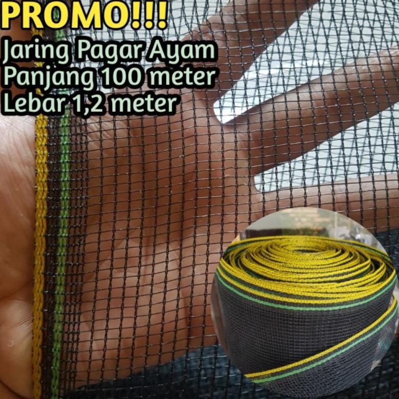 Best Super Jaring Pagar Ayam Roll (Panjang 100 Meter) Dg-4