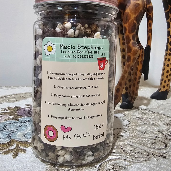 MEDIA TANAM STEPHANIA