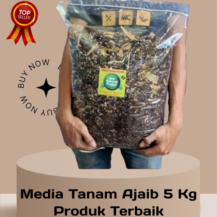MEDIA TANAM AJAIB 5 KG, METAN AGLONEMA, METAN VARIGATA, METAN PREMIUM