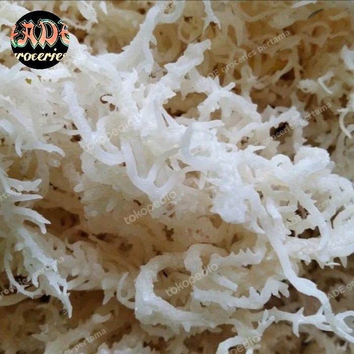 

Bya - Rumput Laut Kering 125Gr Repack Agar Agar Es Campur