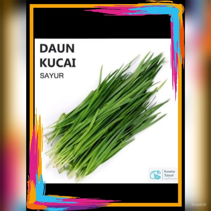 

daun kucai 1 ikat