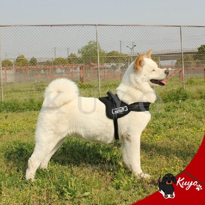 Dog Harness Rompi Anjing Polisi Tugas Jaga Baju Kalung Tali Hewan Pet H32S