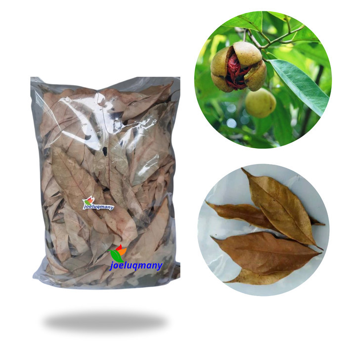 

Daun Pala Kering 100 Gram Bahan baku Wedang Uwuh COD