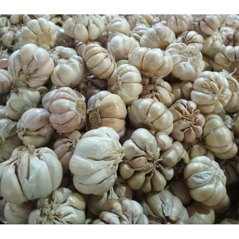 

bawang putih super per kg