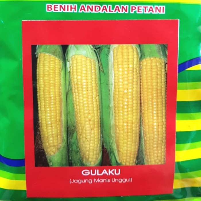 ------] Benih Bibit Jagung Manis Unggul Super Manis