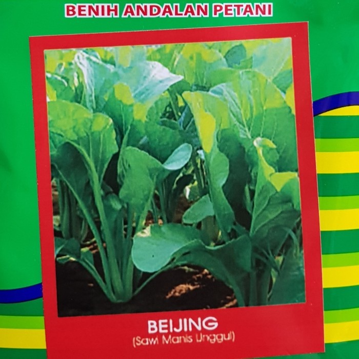 $$$$] Bibit Sawi Manis Unggul