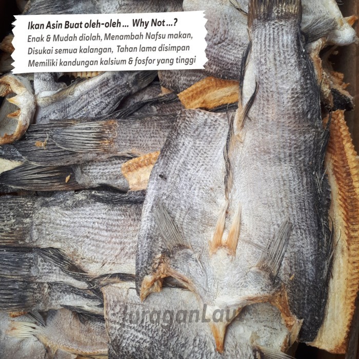

Ikan Asin Gabus Asin Besar Super 1Kg Kering Istimewa Promo Promo