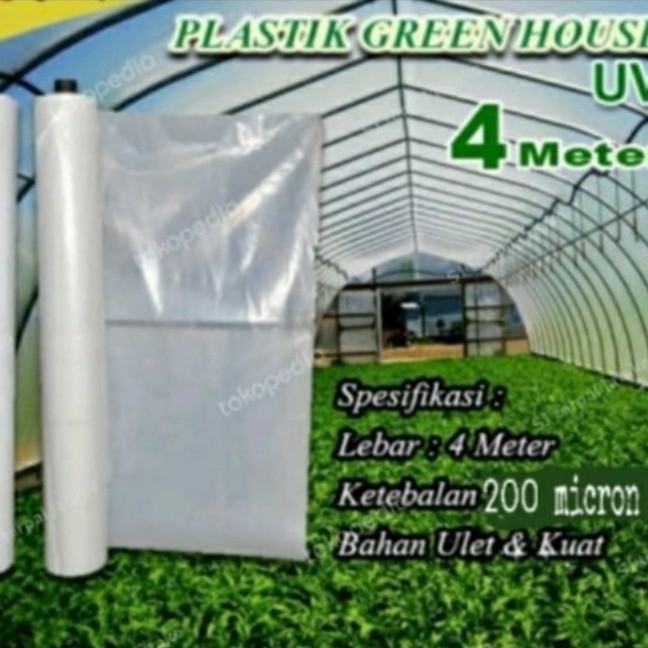 

plastik uv lebar 4m x panjang 18m 200micron