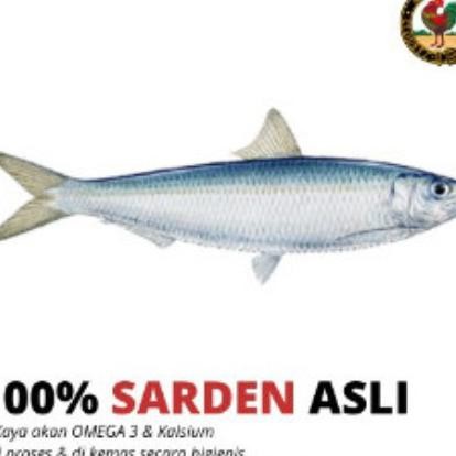 

Paket Ikan Salmon Sarden Maerel Kaleng Ayam Brand