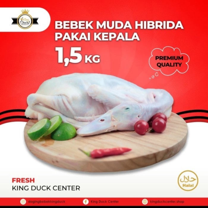 

[1.5Kg] Daging Bebek Fresh/Frozen Hibrida Muda