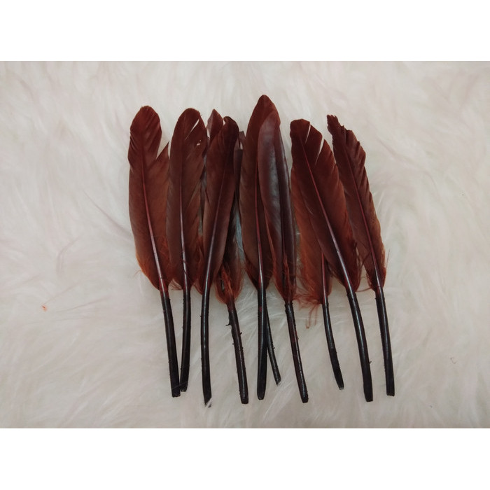 

Bulu Ayam Tegak Coklat