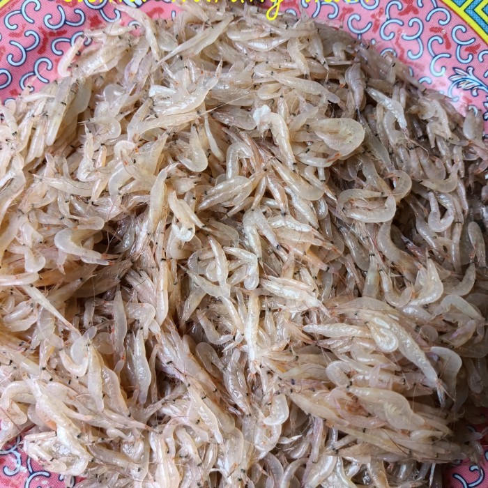 

Udang Rebon Segar Harian 1Kg