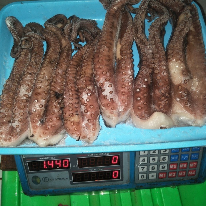 

Kaki Gurita Natural - Octopus Tako @1Kg