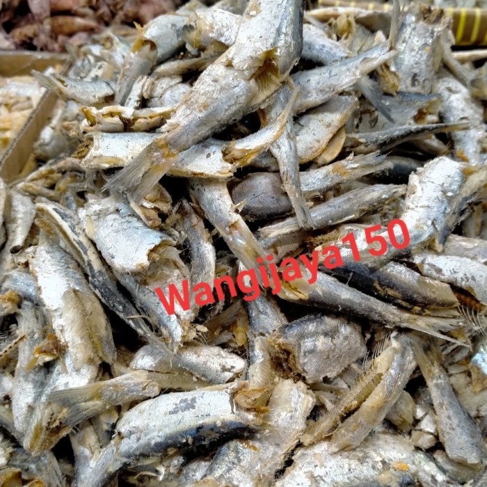 

Ikan Japu/ Ikan Sampah Daging 1 Kg