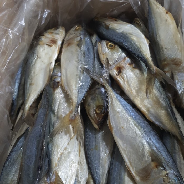 

Ikan Peda Putih Asin 1Kg