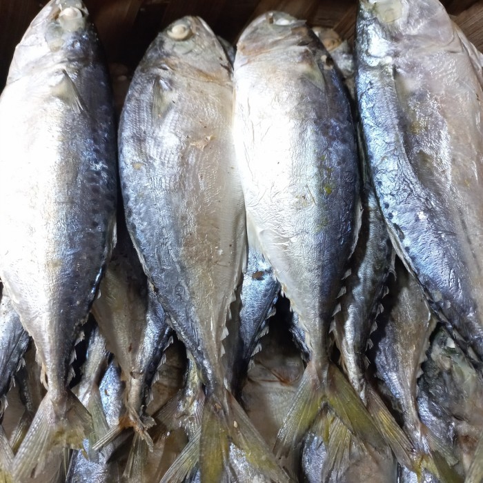 

Ikan Kembung Rebus Medan Ukuran Besar 1000Gr