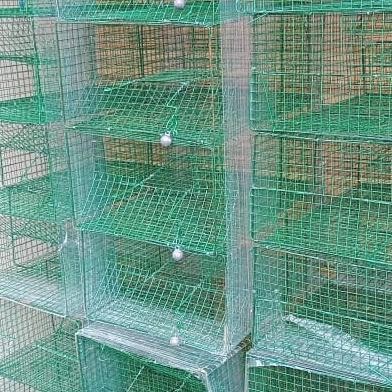 Perangkap Jebakan Tikus Massal Tebal Jumbo