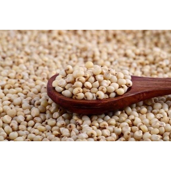 

Beras Putih Shorgum 500Gram / Sorghum / Sorgum Terlaris