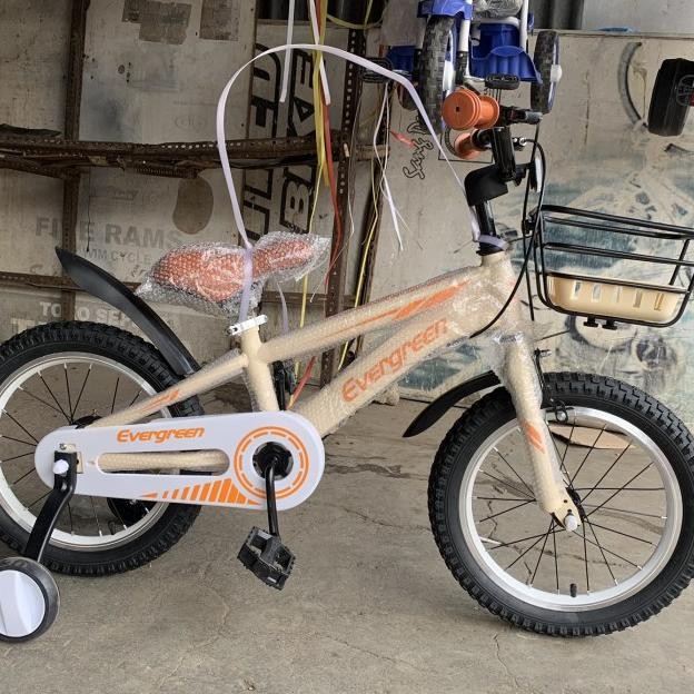 Sepeda Anak Evergreen E New Ve Alloy + Keranjang Unisex