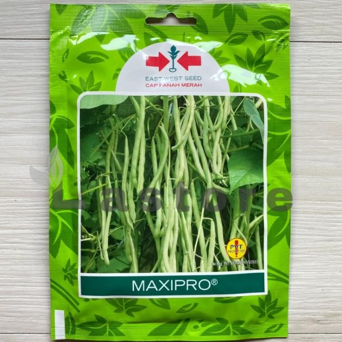 

TERBARU BENIH BUNCIS MAXIPRO ISI 225 BUTIR CAP PANAH MERAH !!!!!