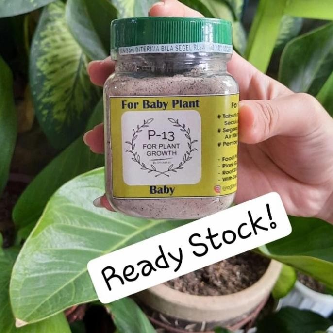 Pupuk P13 Baby / Anakan Om Justin Original Dan Terpercaya