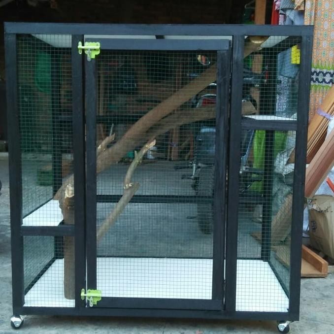 kandang iguana