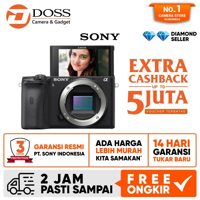 Sony A6600 Body Only / Sony A6600 Body Only / Sony 6600