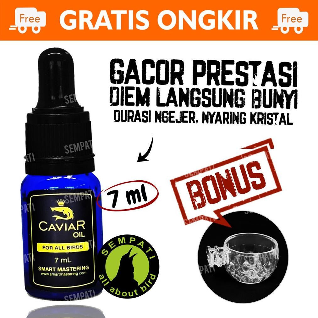 SEMPATI Caviar Oil Smart Mastering Vitamin Burung Kontes Lomba Luxurious Suplemen Doping Premium Oba