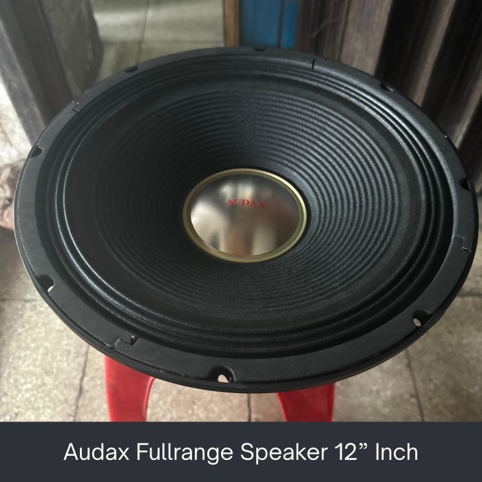 Audax Fullrange Speaker 12" Inch Furing AX 12330