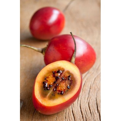 

Terong belanda 500 gr