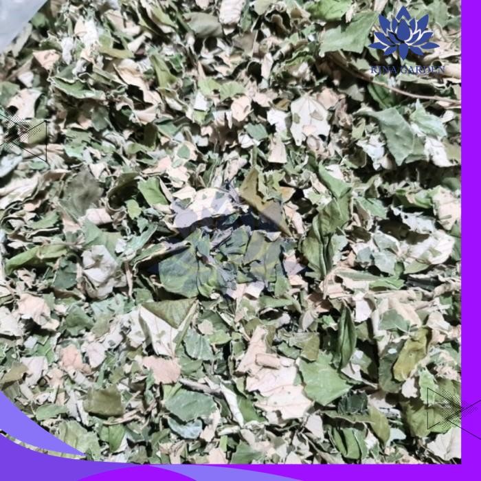 

DAUN BIDARA ARAB KERING 100GR - DAUN BIDARA RUQYAH PRODUK PILIHAN