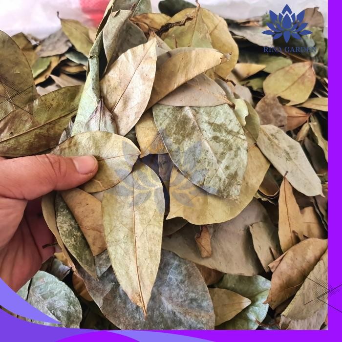

DAUN SIRSAK KERING 500GR TERMURAH