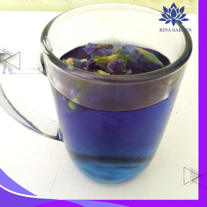 

BUNGA TELANG KERING 10GR ASLI SIAP SEDUH BEST SELLER